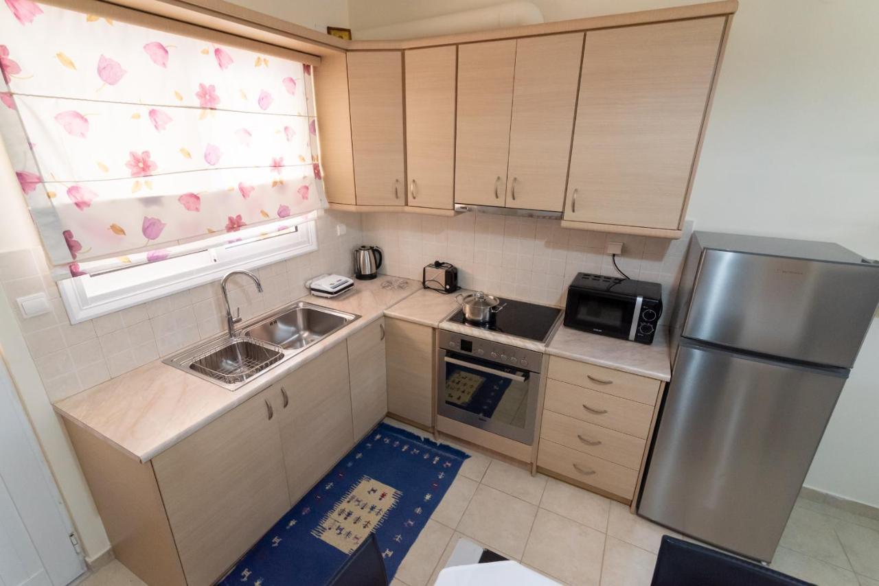 Eleni Luxury Apartment 普雷韦扎 外观 照片